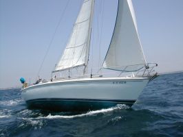 Wiley is our veteran Catalina 36. Available for sail charter or lessons.