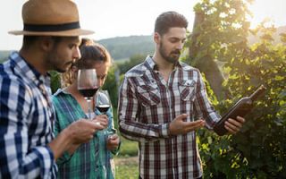 WINE-TASTING EXCURSIONS & TOURS