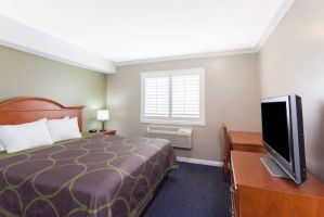 Guest room at the Super 8 by Wyndham Torrance LAX Airport Area in Torrance, California