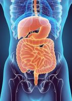 gastroenterologist torrance Digestive Care Consultants