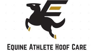 horseshoe smith torrance Equine Athlete Hoof Care