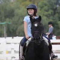 horse riding field torrance Alderin Sporthorses
