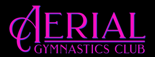 gymnastics club torrance Aerial Gymnastics Club
