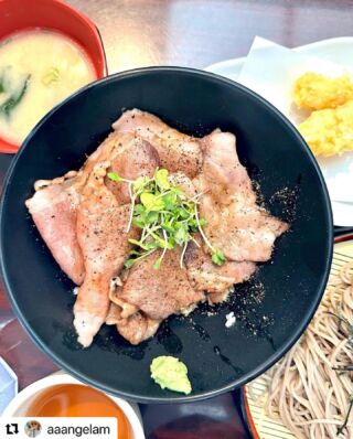 javanese restaurant torrance Wadatsumi