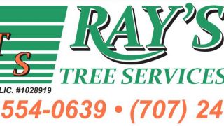 tree service vallejo RAY'S TREE SERVICES, INC.