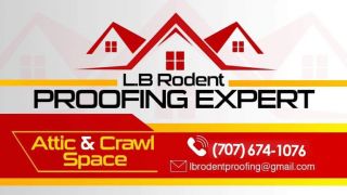 bird control service vallejo LB Rodent Proofing Expert
