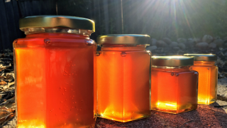 honey farm vallejo Jason's Backyard Honey