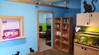 pet groomer vallejo Central Bark Pet Grooming