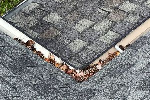 Reliable Gutter Cleaning