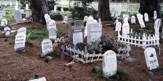 Presidio Pet Cemetery, San Francisco