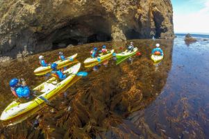 canoe  kayak tour agency ventura Channel Islands Adventure Company