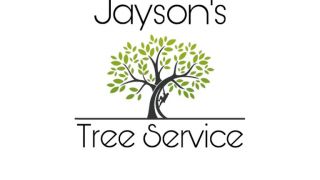 tree service ventura Jayson's Tree Service