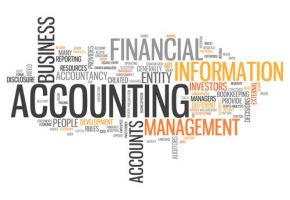 accounting software company ventura DZ Accounting Inc.
