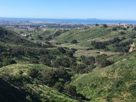 See how Harmon Canyon compares to other Ventura parks: