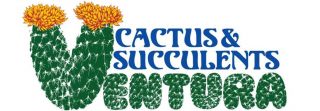 plant nursery ventura Ventura Cactus & Succulents