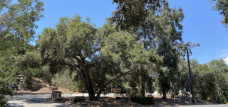 camping cabin ventura Hobson Beach Park