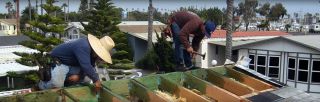 skylight contractor ventura Rayco Roofing Contractors
