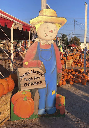 childrens farm victorville Seasonal Adventures Pumpkin Patch and Christmas Trees