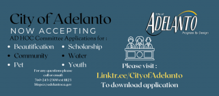 Ad Hod Committee Application
