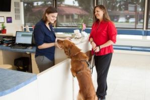 emergency veterinarian service west covina Orange County Emergency Pet Clinic