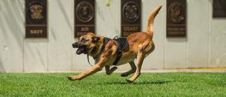 traffic officer west covina West Covina Police Department