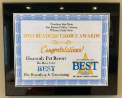 dog day care center west covina Heavenly Pet Resort
